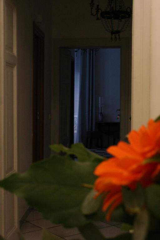 Bed & Breakfast Claudia